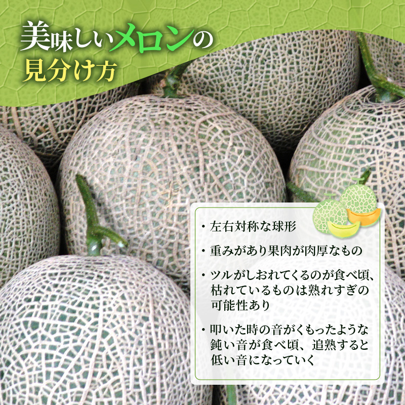 メロン 赤肉 青肉 2玉 食べ比べ セット 詰め合わせ 芦別メロン 計2.8kg以上 北海道 芦別市 アールスメロン 果物 果物類 フルーツ デザート 高級 至福 濃厚 甘い 豊かな香り 食べ方ガイド