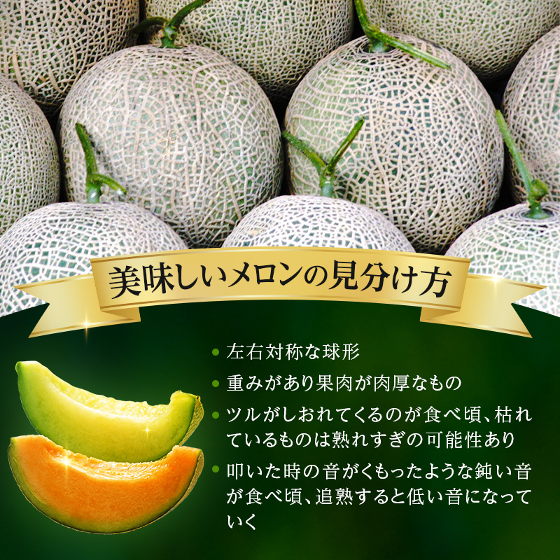 メロン 赤肉 青肉 2玉 食べ比べ セット 詰め合わせ 芦別メロン 計2.8kg以上 北海道 芦別市 アールスメロン 果物 果物類 フルーツ デザート 高級 至福 濃厚 甘い 豊かな香り 食べ方ガイド