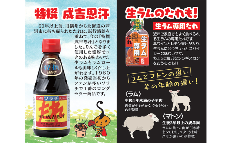 【大量 24本】 ソラチ 特撰ジンギスカンのたれ 250g 24本 たれ タレ 成吉思汗 ジンギスカン まとめ買い 大量