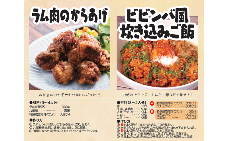 【大量 24本】 ソラチ 特撰ジンギスカンのたれ 250g 24本 たれ タレ 成吉思汗 ジンギスカン まとめ買い 大量