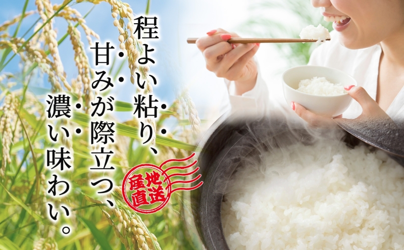 ç±³ 什å7å¹Žç£ ãããŽãã 5kg çœç±³ 粟米 蟲家çŽé ãç±³ ãã ããã ã³ã¡ åäžåæç±³ ãã©ã³ãç±³ ç¹Aç±³ ç¹A åæµ·éç±³ åæµ·éç£ãããŽãã åæµ·éç£ ã飯 ãã¯ã åæµ·é èŠå¥åž èŠå¥å¿æŽç±³