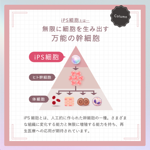 Asmy(アズミー) 《導入美容液》センシティブ ベースケアコンク 28mL×2 化粧品 美容液 先行美容液 スキンケア