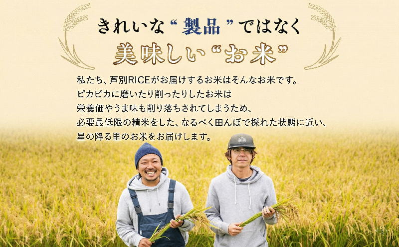 【新米・先行予約】米 20kg (5kg×4袋) ななつぼし 令和8年産 2026 2026年産 8年 [ 順次発送 ] 北海道 芦別市産 芦別市 農家直送 精米 白米 お米 20キロ 20kg 芦別RICE 特Aランク 予約受付中 甘み ツヤ もちもち