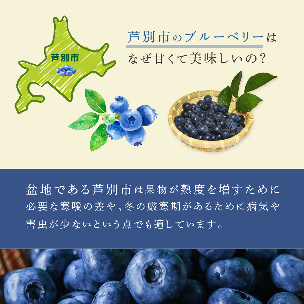 ãã«ãŒããªãŒ ããã¯ã¹ 500g å·å æç© ãã ãã® ãã«ãŒã æ¬ã®æç© æ¬ã®ãã«ãŒã ããã¯ã¹ãã«ãŒããªãŒ å€§ç² å°ç² ä¿å åæµ·é èŠå¥åž