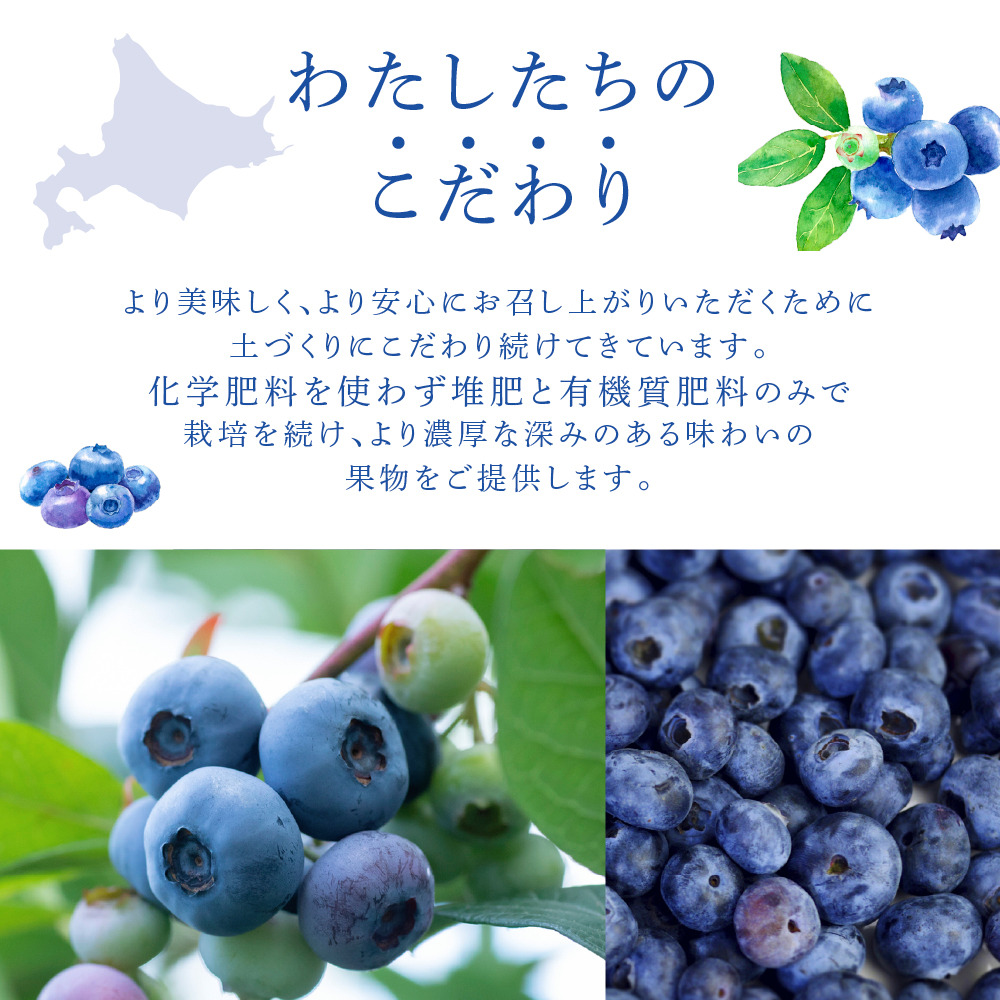 ãã«ãŒããªãŒ ããã¯ã¹ 500g å·å æç© ãã ãã® ãã«ãŒã æ¬ã®æç© æ¬ã®ãã«ãŒã ããã¯ã¹ãã«ãŒããªãŒ å€§ç² å°ç² ä¿å åæµ·é èŠå¥åž