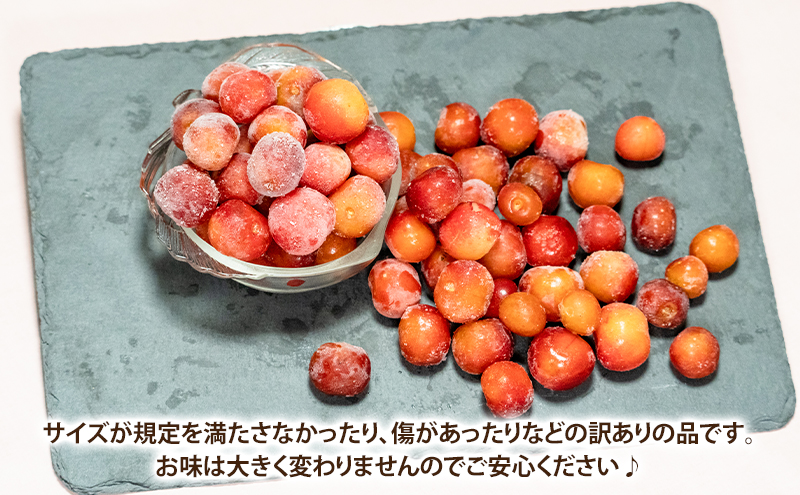 縲占ィウ繧「繝ェ縲 蜀キ蜃 縺輔¥繧峨s縺シ 500g 螟ァ讖九&縺上i繧薙⊂蝨 繧オ繧ッ繝ゥ繝ウ繝 繝√ぉ繝ェ繝シ 譫懃黄 譫懃黄鬘 繝輔Ν繝シ繝 繝繧カ繝シ繝 螳檎 諤・騾溷キ蜃 譁ー魄ョ 鄒主袖縺励> 莠コ豌 蜀キ蜃埼埼 蛹玲オキ驕 闃ヲ蛻・蟶
