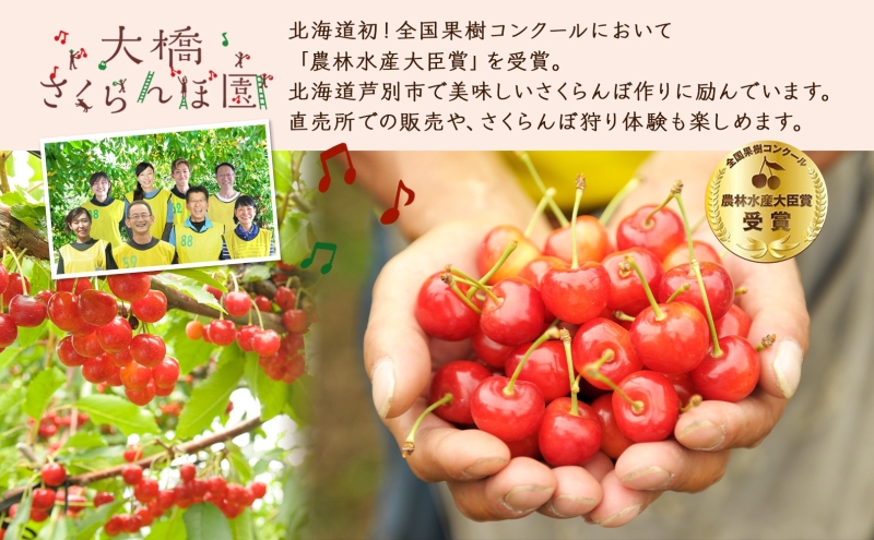 縲占ィウ繧「繝ェ縲 蜀キ蜃 縺輔¥繧峨s縺シ 500g 螟ァ讖九&縺上i繧薙⊂蝨 繧オ繧ッ繝ゥ繝ウ繝 繝√ぉ繝ェ繝シ 譫懃黄 譫懃黄鬘 繝輔Ν繝シ繝 繝繧カ繝シ繝 螳檎 諤・騾溷キ蜃 譁ー魄ョ 鄒主袖縺励> 莠コ豌 蜀キ蜃埼埼 蛹玲オキ驕 闃ヲ蛻・蟶
