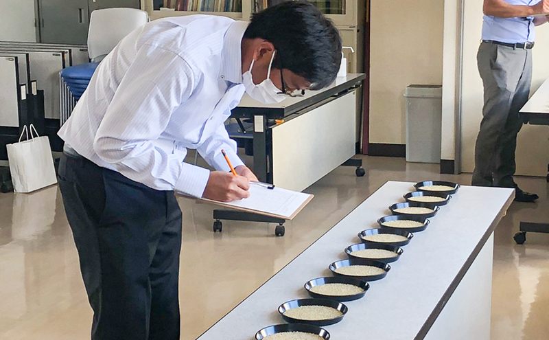 ãæ°ééå®ã 什å7å¹Žç£ ç±³ ãããŽãã 5kg åæµ·éç£ åæµ·éç£ãããŽãã ãç±³ ãã ã³ã¡ 粟米 çœç±³ ã飯 ç¹A ç¹aç±³ ãã©ã³ãç±³ åæµ·éç±³ äŒè€è蟲å åæµ·é èŠå¥åž