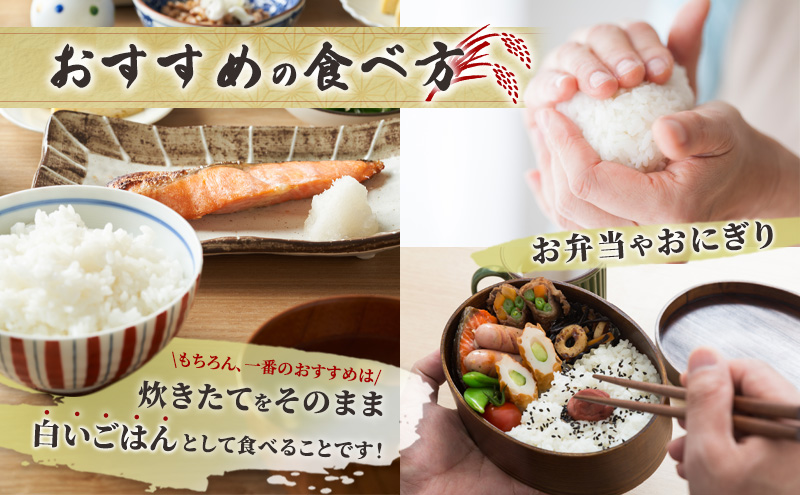 米 令和7年産 ゆめぴりか 10kg 北海道産 北海道産ゆめぴりか お米 こめ コメ 精米 白米 ご飯 特A 特a米 ブランド米 北海道米 川崎森田屋 送料無料 北海道 芦別市