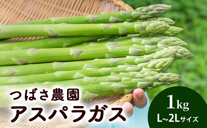 アスパラガス L ～ 2L サイズ 1kg 2026年 発送 芦別RICE つばさ農園 アスパラ グリーンアスパラ 旬 とれたて お取り寄せ 野菜 美味しい 新鮮 北海道 芦別市