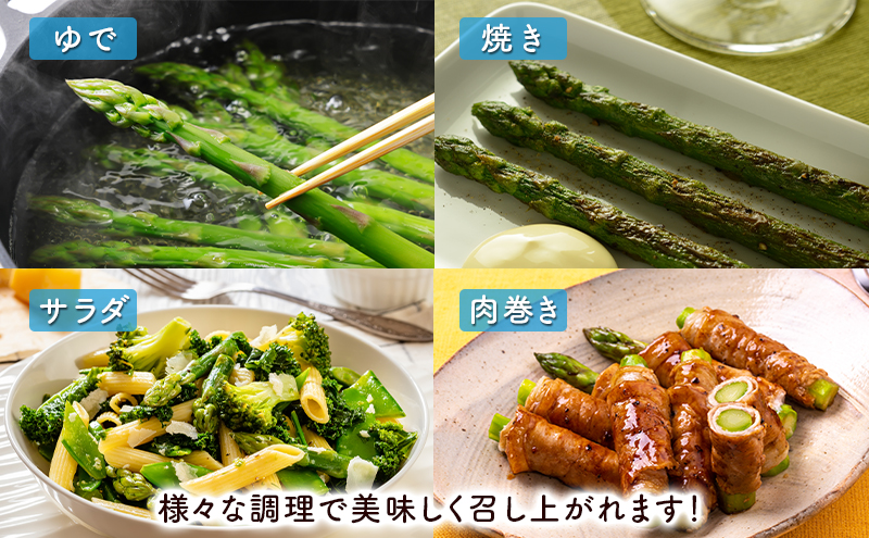 アスパラガス L ～ 2L サイズ 1kg 2026年 発送 芦別RICE つばさ農園 アスパラ グリーンアスパラ 旬 とれたて お取り寄せ 野菜 美味しい 新鮮 北海道 芦別市