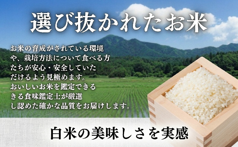 邀ウ 莉、蜥7蟷エ逕」 縺オ縺」縺上j繧薙% 5kg 螳ョ逕ー霎イ蝨 蛹玲オキ驕 縺顔アウ 5繧ュ繝ュ 縺秘」ッ 逋ス邀ウ 邊セ邀ウ 蛹玲オキ驕鍋アウ 逕」蝨ー逶エ騾 騾∵侭辟。譁 闃ヲ蛻・蟶 縺薙a 縺翫%繧 繧ウ繝。 縺斐ッ繧 2025蟷エ 2025 莉、蜥7蟷エ 闃ヲ蛻・蠢懈抄邀ウ