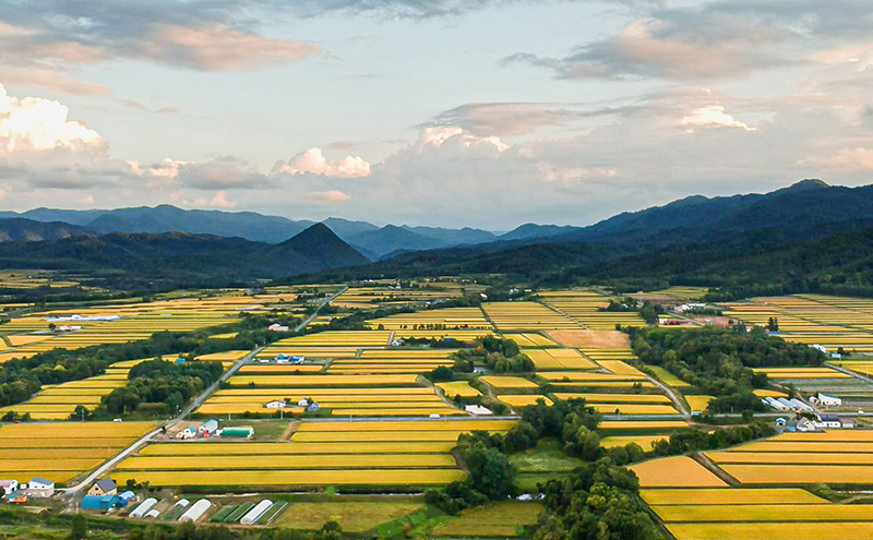 米 令和7年 ゆめぴりか 3600g (300g×12袋) 3.6kg 北海道米  白米 精米 お米 おこめ こめ ご飯 ごはん 単一原料米 ブランド米 令和7年産 ギフト 贈り物 プレゼント 北海道 芦別市