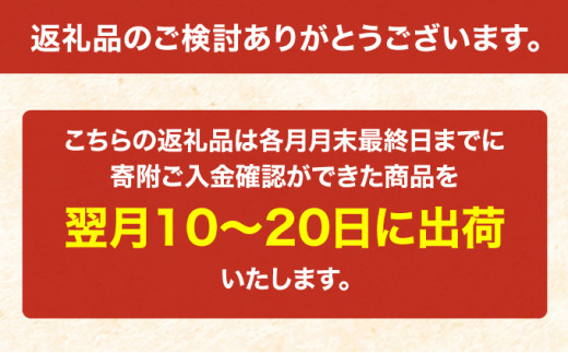 3ヵ月 定期便 無洗米 北海道 喜ななつぼし 300g (ホクレン米) 獲得 白米 お取り寄せ ごはん 道産米 ブランド米 300グラム お米 ご飯 米 北海道米 送料無料 北海道 芦別市