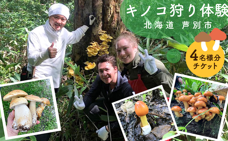 体験 北海道 季節のキノコ狩り 体験チケット 4枚 (4名様分) ioru 体験型 旅行 子供 大人 アクティビティ アウトドア スポーツ ギフト券 チケット 券 きのこ キノコ きのこ鍋 煮物 渓流 芦別市