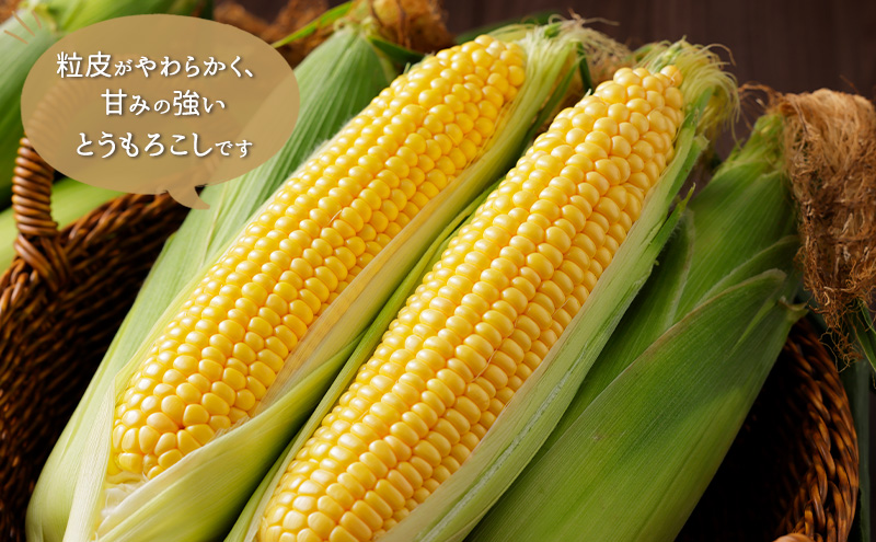 åæµ·éèŠå¥åžç£ ãšããããã ãã«ããŒã¹ã€ãŒã ææ¡ã åœæ¥åºè· æ°ééå® çé£å¯ FuSa vineyard å€éè