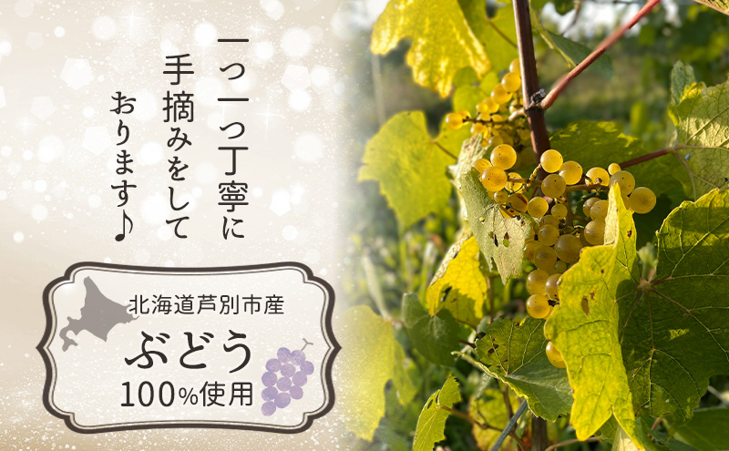 åæµ·é èŠå¥åž æ¥æ¬ã¯ã€ã³ ã¹ããŒã¯ãªã³ã°ã¯ã€ã³ Polaris 2024 ç¶å
äºæ¬¡çºé
µ å°éçç£ FuSa vineyard åœç£ã¯ã€ã³