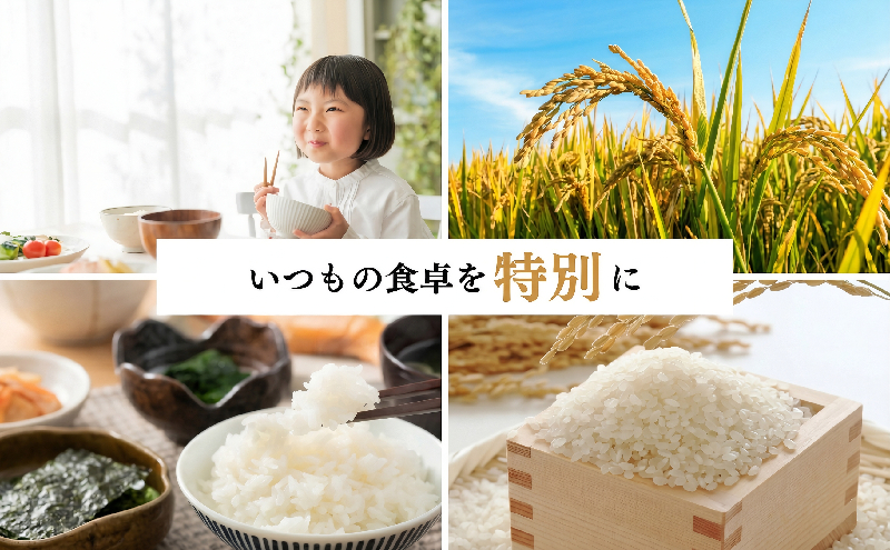 5繝オ譛 螳壽悄萓ソ 辟。豢礼アウ 蛹玲オキ驕 縺オ縺」縺上j繧薙% 300g (繝帙け繝ャ繝ウ邀ウ) 迯イ蠕 逋ス邀ウ 縺雁叙繧雁ッ縺 縺斐ッ繧 驕鍋肇邀ウ 繝悶Λ繝ウ繝臥アウ 300繧ー繝ゥ繝 縺顔アウ 縺秘」ッ 邀ウ 蛹玲オキ驕鍋アウ 騾∵侭辟。譁 蛹玲オキ驕 闃ヲ蛻・蟶