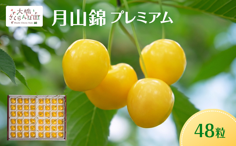 【先行予約】さくらんぼ 月山錦 プレミアム 48粒 最高級 特大粒 宝石箱 農林水産大臣賞受賞 完熟 フルーツ 果物 贈答用 北海道 芦別市 送料無料