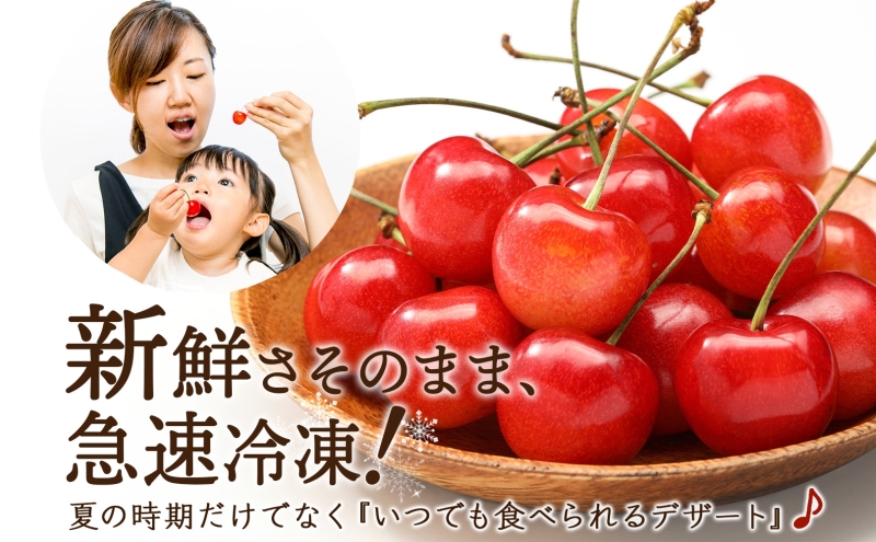 冷凍さくらんぼ 月山錦 スペシャル 48粒 化粧箱入 黄色いさくらんぼ 希少種 大粒 大容量 完熟 フルーツ 果物 デザート 北海道 芦別市