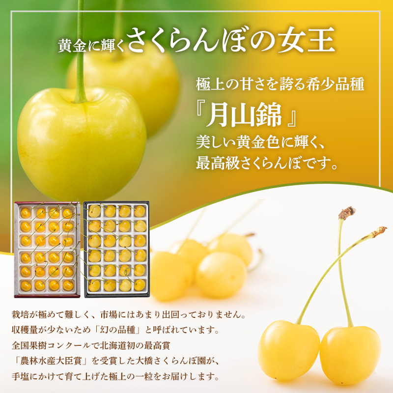 冷凍さくらんぼ 月山錦 スペシャル 48粒 化粧箱入 黄色いさくらんぼ 希少種 大粒 大容量 完熟 フルーツ 果物 デザート 北海道 芦別市