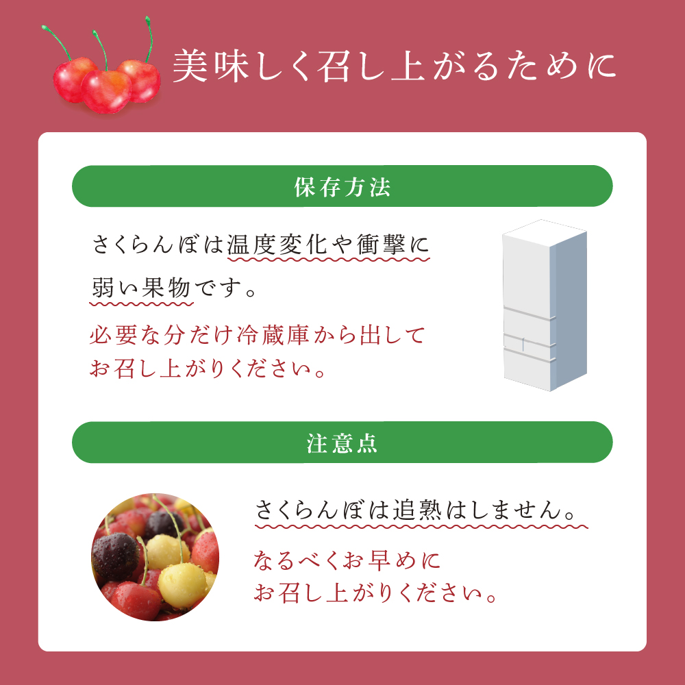 【先行予約】さくらんぼ 月山錦 スペシャル 24粒 化粧箱入 大橋さくらんぼ園 大粒 完熟 フルーツ 果物 さくらんぼの女王 贈答用 ギフト 北海道 芦別市 送料無料
