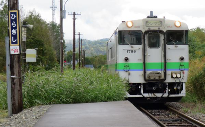 ◆平岸駅◆mini駅名標