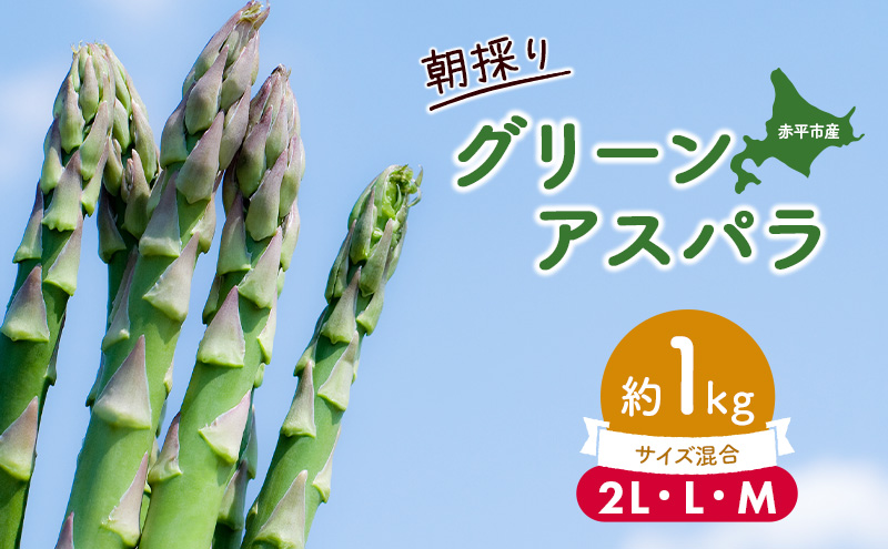 アスパラ 北海道 朝採り 春グリーンアスパラ 約1kg 2L L M サイズ混合［ほりぐち農園］ ※2026年4月中旬出荷開始先行予約 野菜 アスパラガス グリーンアスパラ 旬 とれたて お取り寄せ 産地直送 生産者直送