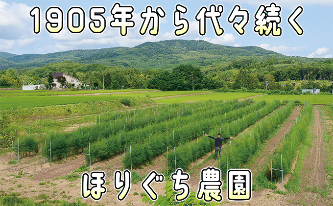 アスパラ 北海道 朝採り 春グリーンアスパラ 約1kg［ほりぐち農園］ ※2025年4月中旬出荷開始先行予約 野菜 アスパラガス グリーンアスパラ 旬 とれたて お取り寄せ 産地直送 生産者直送 