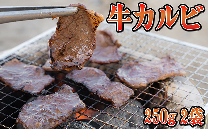 焼肉ジュウジュウ！4種の焼肉セット 牛肉 ホルモン 羊肉 ラム肉 お肉 バーベキュー 