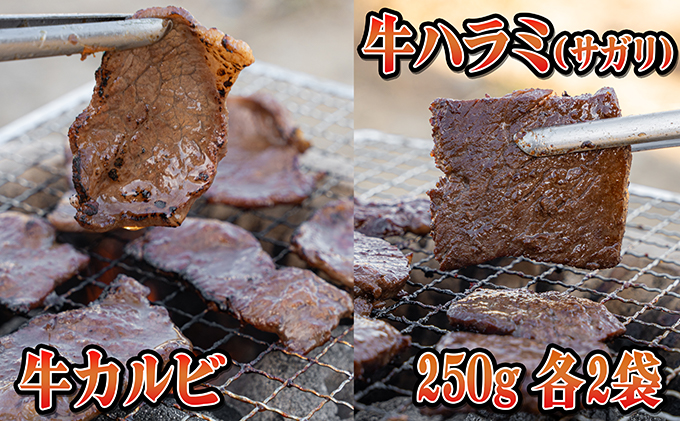 今夜は焼肉！5種類の豪華焼肉セット 牛肉 ホルモン 羊肉 ラム肉 お肉 バーベキュー 