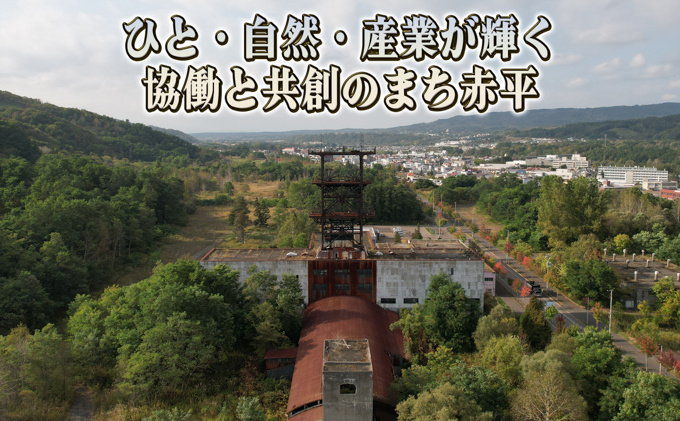 赤平長持ち胡蝶蘭白花大輪3本立て（36輪以上）