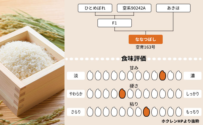 北海道赤平産 ななつぼし 10kg (5kg×2袋) 米 北海道 お米 赤平産 