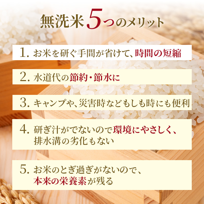 無洗米 北海道赤平産 ゆめぴりか 5kg 特別栽培米 【6回お届け】 米 北海道 定期便