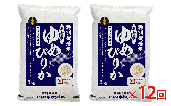 玄米 北海道赤平産 ゆめぴりか 10kg (5kg×2袋) 特別栽培米 【12回お届け】 米 北海道 定期便 ふるさと納税 お米 