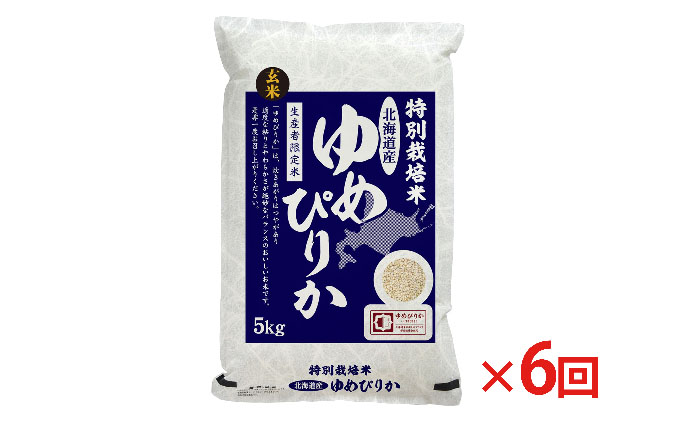 玄米 北海道赤平産 ゆめぴりか 5kg 特別栽培米 【6回お届け】 米 北海道 定期便