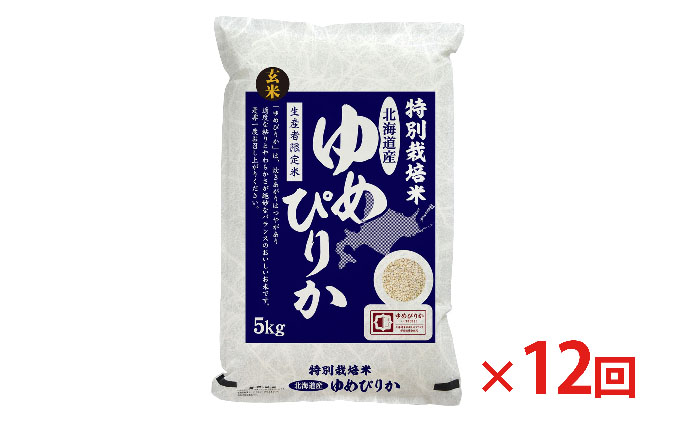 玄米 北海道赤平産 ゆめぴりか 5kg 特別栽培米 【12回お届け】 米 北海道 定期便 ふるさと納税 お米 