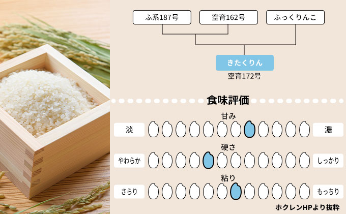 北海道赤平産 きたくりん 20kg (5kg×4袋) 特別栽培米 米 北海道