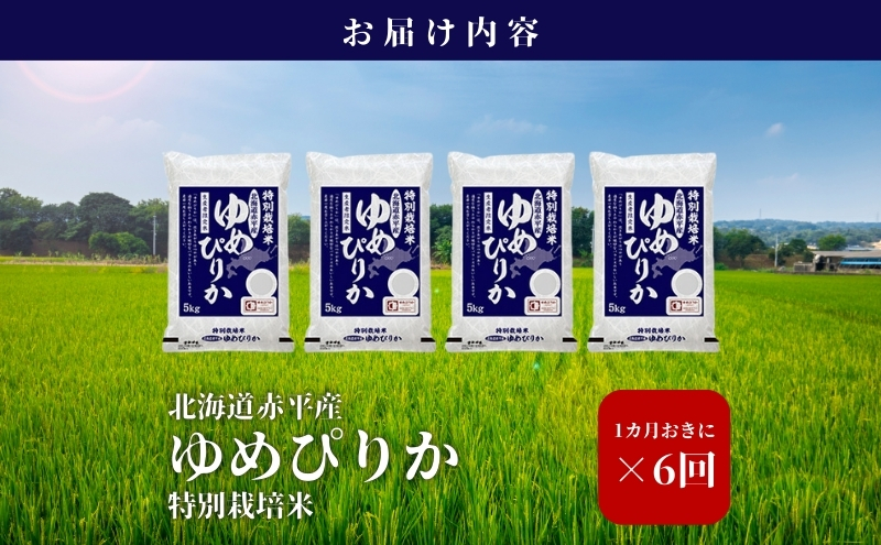 北海道赤平産 ゆめぴりか 20kg (5kg×4袋) 特別栽培米 【1ヵ月おきに6回お届け】 米 北海道 定期便