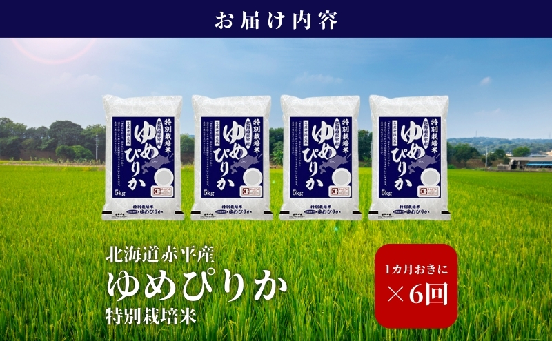 蛹玲オキ驕楢オ、蟷ウ逕」 繧繧√エ繧翫° 20kg (5kgテ4陲) 迚ケ蛻・譬ス蝓ケ邀ウ 縲1繝オ譛医♀縺阪↓6蝗槭♀螻翫¢縲 邀ウ 蛹玲オキ驕 螳壽悄萓ソ 縺顔アウ