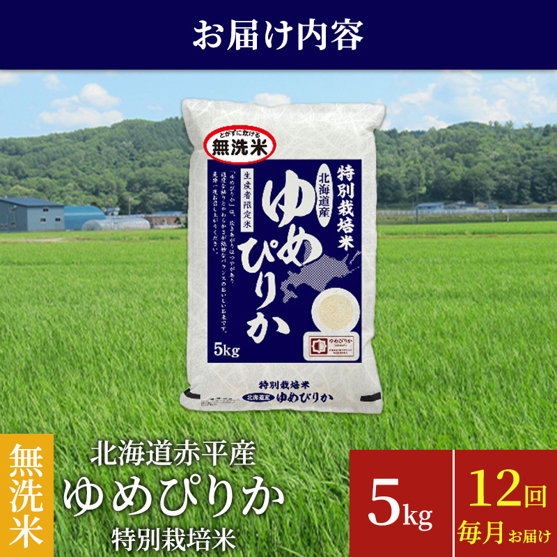 無洗米 北海道赤平産 ゆめぴりか 5kg 特別栽培米 【12回お届け】 米 北海道 定期便