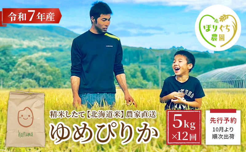 【12ヶ月定期便】北海道赤平産ゆめぴりか5kg 令和7年産 先行予約 先行受付 精米したて直送 米 白米 精米 定期便 北海道 赤平市