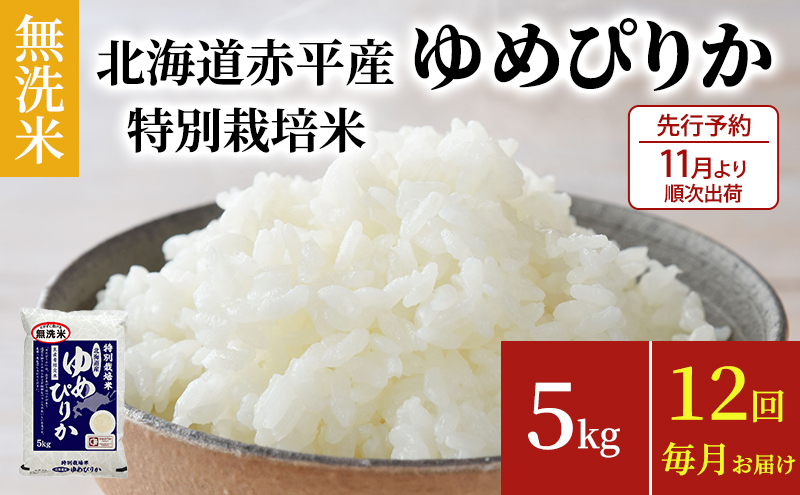 無洗米 北海道赤平産 ゆめぴりか 5kg 特別栽培米 【12回お届け】 米 北海道 定期便