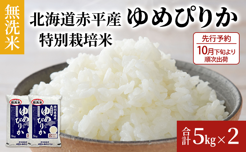 【先行予約2024年産米・10月下旬より順次出荷】無洗米 北海道赤平産 ゆめぴりか 10kg (5kg×2袋) 特別栽培米 米 北海道