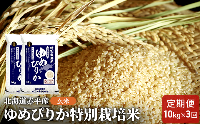 玄米 北海道赤平産 ゆめぴりか 10kg (5kg×2袋) 特別栽培米 【3回お届け】 米 北海道 定期便 ふるさと納税 お米