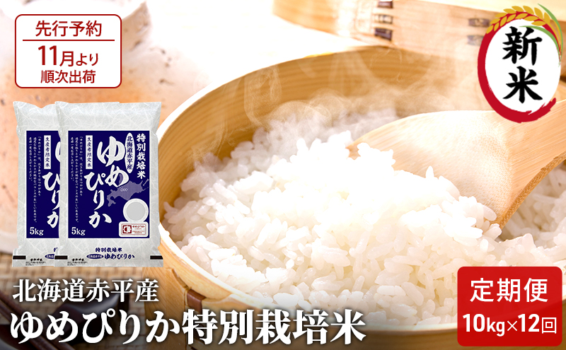 北海道赤平産 ゆめぴりか 10kg (5kg×2袋) 特別栽培米 【12回お届け】 米 北海道 定期便