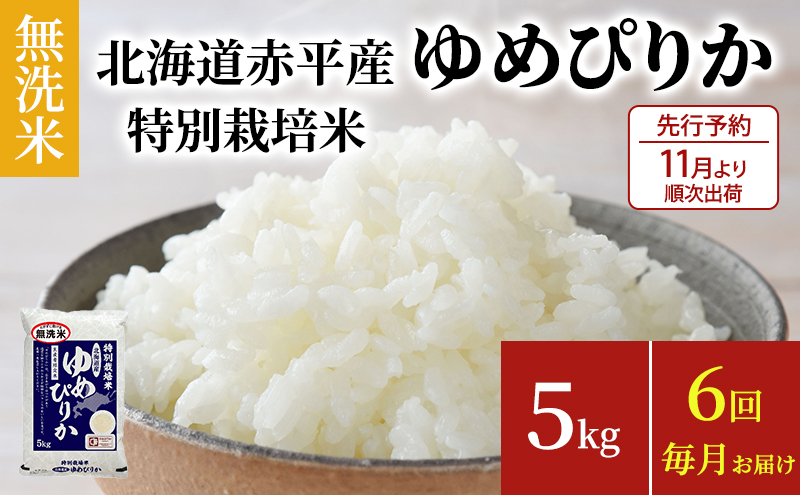 無洗米 北海道赤平産 ゆめぴりか 5kg 特別栽培米 【6回お届け】 米 北海道 定期便