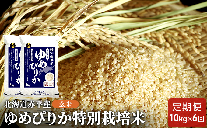 玄米 北海道赤平産 ゆめぴりか 10kg (5kg×2袋) 特別栽培米 【6回お届け】 米 北海道 定期便 ふるさと納税 お米