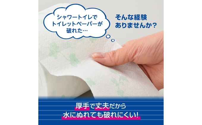 2回お届け 計144ロール エリエール シャワートイレのためにつくった吸水力が2倍 トイレットペーパー ダブル 25m 12R 6パック 計72ロール 防災 常備品 備蓄品 消耗品 日用品 送料無料 北海道 赤平市