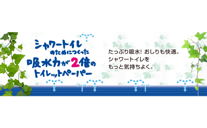 【2回お届け・計144ロール】エリエール シャワートイレのためにつくった吸水力が2倍のトイレットペーパー ダブル 25m 12R×6パック 計72ロール 北海道仕上げ 日用品 トイレ 消耗品